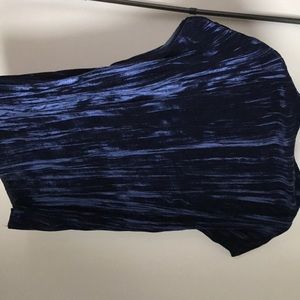 Zara Blue Velvet Shirt (with tags)
